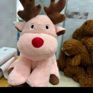 Tuần lộc hồng hót hít