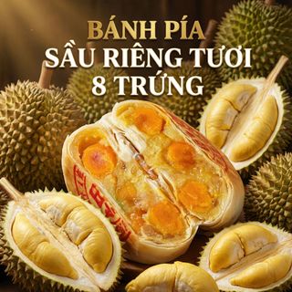 BÁNH PÍA SẦU RIÊNG TƯƠI 8 TRỨNG SIÊU NGON KHỔNG LỒ 600G - WINNIE HOUSE