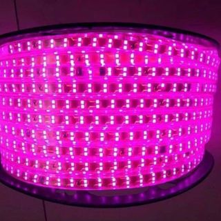ĐÈN LED DÂY 2835 HAI HÀNG MÀU HỒNG DÀI 100M