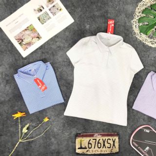 Áo cổ nữ chất liệu poly co dãn