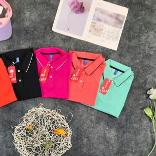 Áo cổ nữ chất liệu poly co dãn