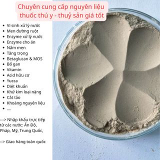 YEAST CELL WALL - vách tế bào nấm men hàm lượng cao