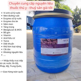 BACILLUS PUMILUS - Lợi khuẩn cho tôm