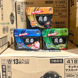 Hộp hút, khử mùi tủ lạnh/tủ giày Nhật Bản