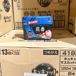 Hộp hút, khử mùi tủ lạnh/tủ giày Nhật Bản