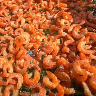 1kg tôm khô thiên nhiên size trung bao giòn ngọt