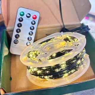 DÂY ĐÈN LED TRANG TRÍ HẠT GẠO ĐIỀU KHIỂN DÀI 100M