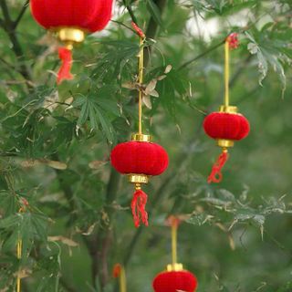 LỐC 20 LỒNG ĐÈN SIZE 6