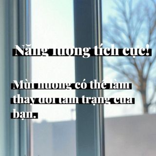 Tinh Dầu Nước Hoa Gucci Guilty Nữ Dạng Lăn 10ml