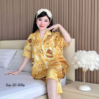 Bộ lửng Latin in 5D