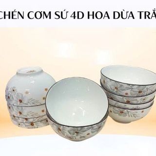 SET 10 CHÉN SỨ HOA DỪA NÂU CHÉN CƠM (T12)