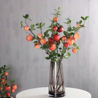 CÀNH QUẢ TÁO 5 QUẢ TRANG TRÍ DECOR