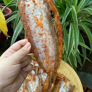 Khô cá mối tẩm