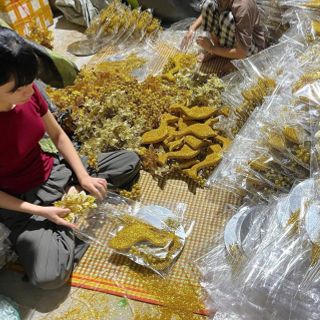 Set công trang trí tết, trang trí giỏ quà công vàng