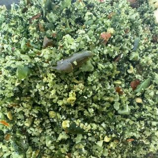 MUỐI LÁ É - ĐẶC SẢN MIỀN TRUNG - HƯƠNG VỊ MIỀN NAM, cay mặn - HỦ 150GR