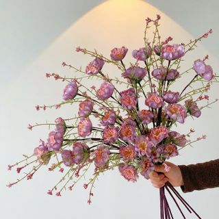 Bó 10 Cành Hoa Trà Gạo Cổ