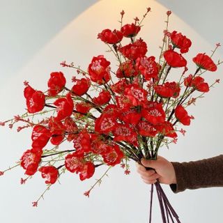 Bó 10 Cành Hoa Trà Gạo Cổ