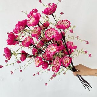 Bó 10 Cành Hoa Trà Gạo Cổ