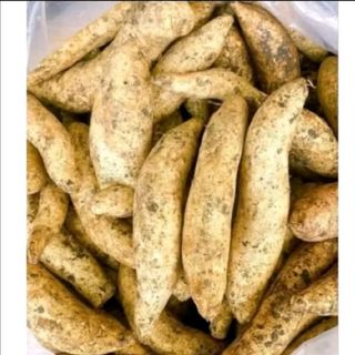 Khoai lang trắng sữa thái ruột vàng dẻo ngọt ít bột