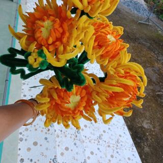 Hoa cúc mẫu đơn (cúc đại đoá)