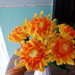 Hoa cúc mẫu đơn (cúc đại đoá)