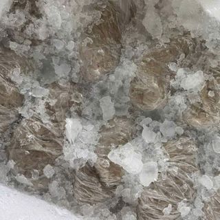 Chả cá sợi bán bánh mì giá sỉ từ 65,000đ giao tận nơi TP HCM