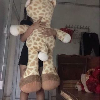 Hươu cao cổ ngoài Xinh cực