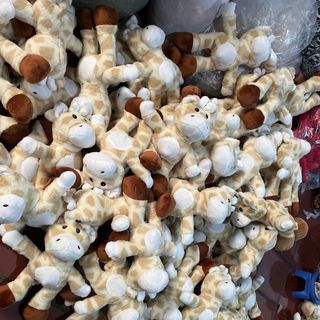 Hươu cao cổ ngoài Xinh cực