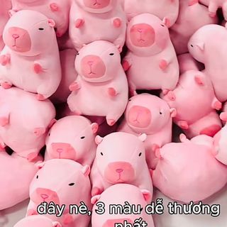 Gấu Teddy Ôm Tim - Quà Tặng Lễ Tình Nhân 14/2