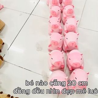 Cappy hồng 30cm