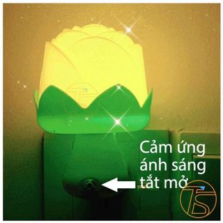 ĐÈN NGỦ CẢM ỨNG HÌNH BÔNG HỒNG LỚN