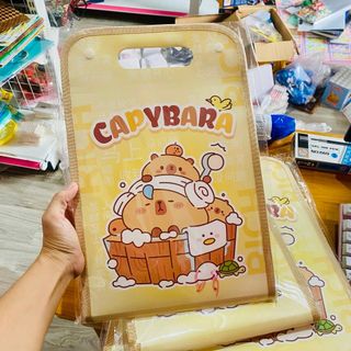 TÚI ĐỰNG TÀI LIỆU, HỌC THÊM 13 NGĂN 0512 - LADY'S PASSION