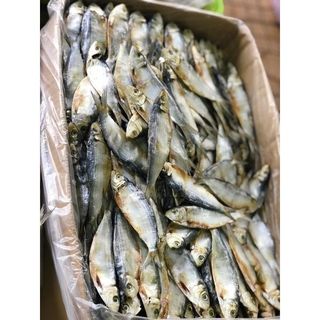 Cá trích khô- nguyên con, thịt dày, ít xương, ngon rẻ, đặc sản Phú Yên - 1KG