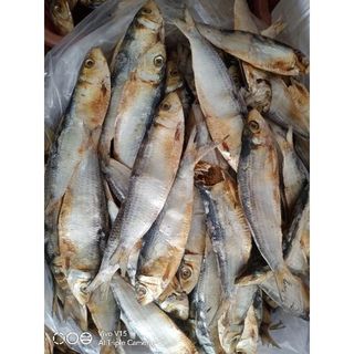 Cá trích khô- nguyên con, thịt dày, ít xương, ngon rẻ, đặc sản Phú Yên - 1KG