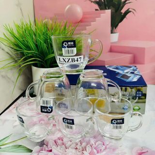 Bộ 6 Cốc Thủy Tinh Trắng Có Quai Không Đĩa ( THÙNG 12B )