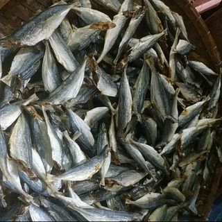 Khô cá nục bỏ đầu, loại ngon. khô hẳn không ướt, MẶN -1KG