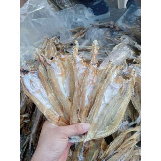 Khô cá mối ngon, 500GR - chất lượng ngon , thịt dai thơm béo, KHÔNG DÙNG CHẤT BẢO QUẢN PHƠI KHÔ TỰ NHIÊN