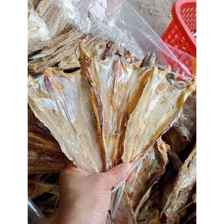 Khô cá mối ngon, 500GR - chất lượng ngon , thịt dai thơm béo, KHÔNG DÙNG CHẤT BẢO QUẢN PHƠI KHÔ TỰ NHIÊN