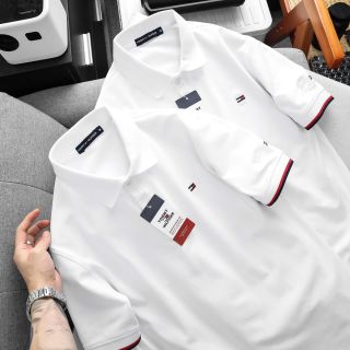 Polo Nam Cotton Hàng Hiệu (Size 50-87kg)