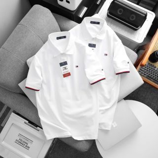 Polo Nam Cotton Hàng Hiệu (Size 50-87kg)