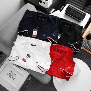 Polo Nam Cotton Hàng Hiệu (Size 50-87kg)