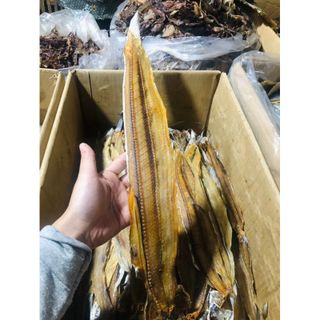 Khô cá hố 500gr, khô cá không tẩm vị nguyên con thịt dai dùng cùng mắm me