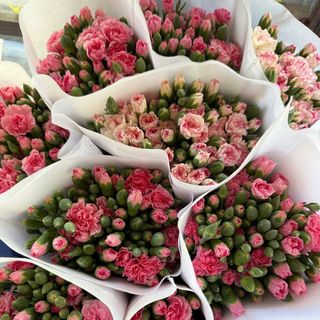 Hoa hồng_Hoa tươi mỗi ngày