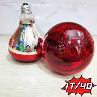 BÓNG ĐÈN HỒNG NGOẠI SƯỞI GÀ 275W E27