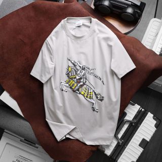 Áo thun nam. Chất thun cotton 4c cao cấp xịn.   Full tem tag túi zip