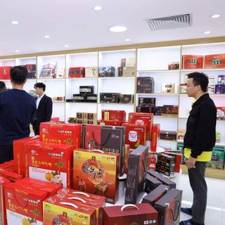 Tìm đại lý pp sản phẩm về sâm nấm thực phẩm chức năng hàn quốc