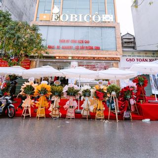 Tìm đại lý pp sản phẩm về sâm nấm thực phẩm chức năng hàn quốc