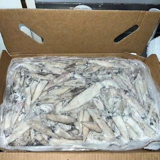 MỰC ỐNG NGUYÊN CON size 10/15 cm/con, 10kg/block ( 30-35 con/kg)