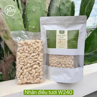 Hạt điều tươi W240