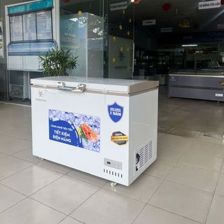 Tủ đông Bamboo Cool 300L